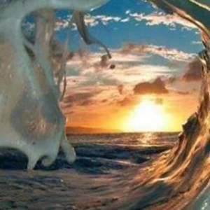 Meet your Posher, Eddie